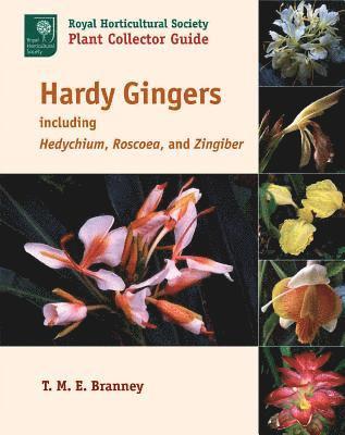 Hardy Gingers