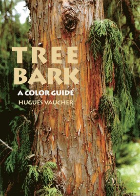 Tree Bark