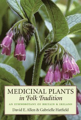 David Allen, Gabrielle Hatfield - Medicinal Plants in Folk Tradition, Inbunden