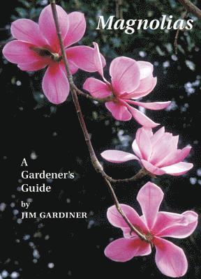Magnolias