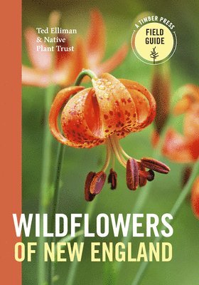 Native Plant Trust, Ted Elliman - Wildflowers of New England, Häftad. Tillgänglighet: Lägg i varukorg