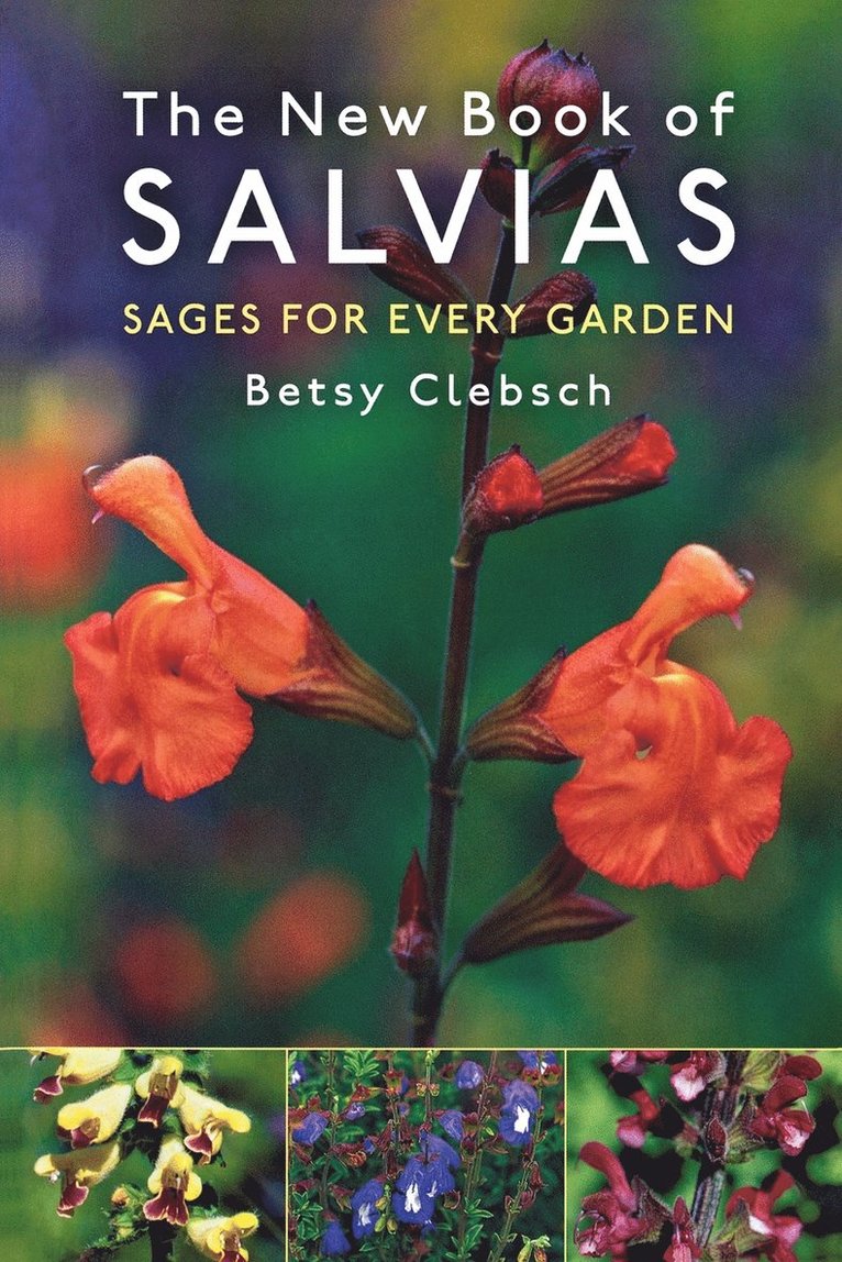 Betsy Clebsch - New Book of Salvias, Häftad