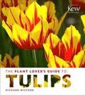 Plant Lover's Guide to Tulips