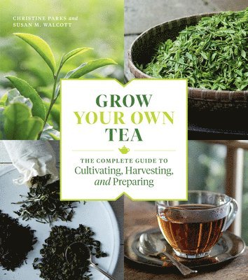 Grow Your Own Tea av Christine Parks, Susan M Walcott, Susan M Walcott, Susan M Walcott