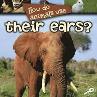 How Do Animals Use... Their Ears?
