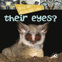 How Do Animals Use... Their Eyes?