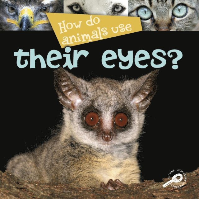 Lynn Stone - How Do Animals Use... Their Eyes?, E-bok