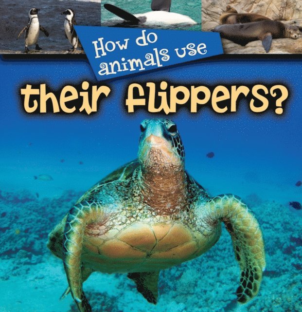 Lynn Stone - How Do Animals Use... Their Flippers?, E-bok