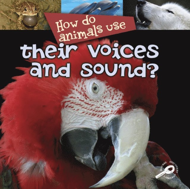 Lynn Stone - How Do Animals Use... Their Voices and Sound?, E-bok