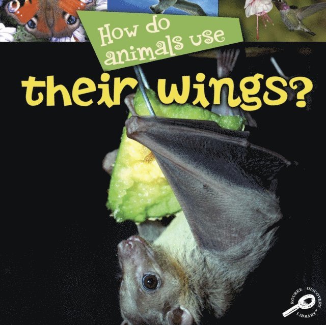 Lynn Stone - How Do Animals Use... Their Wings?, E-bok
