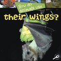 How Do Animals Use... Their Wings?