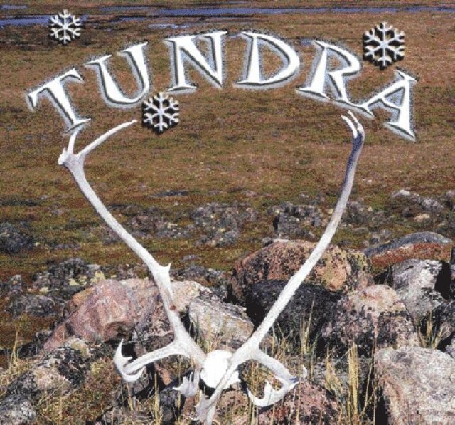 Lynn Stone - Tundra, E-bok