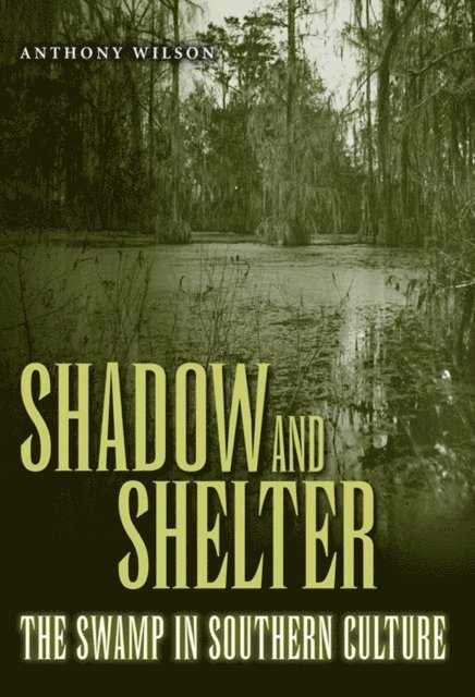 Anthony Wilson - Shadow and Shelter, E-bok