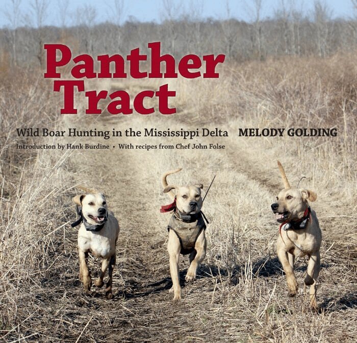 Melody Golding - Panther Tract, Inbunden. Tillgänglighet: Tillfälligt slut