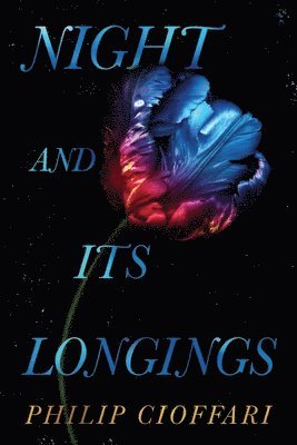Philip Cioffari - Night and Its Longings, Häftad
