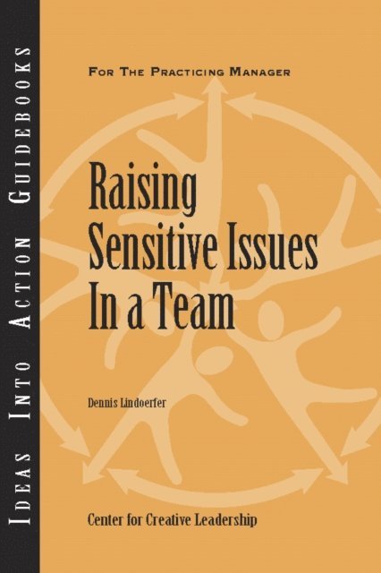 Dennis Lindoerfer - Raising Sensitive Issues in a Team, E-bok