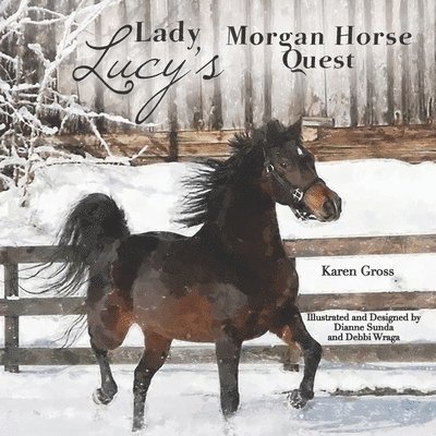 Karen Gross - Lady Lucy's Morgan Horse Quest, Häftad
