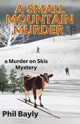Phil Bayly - Small Mountain Murder, Häftad