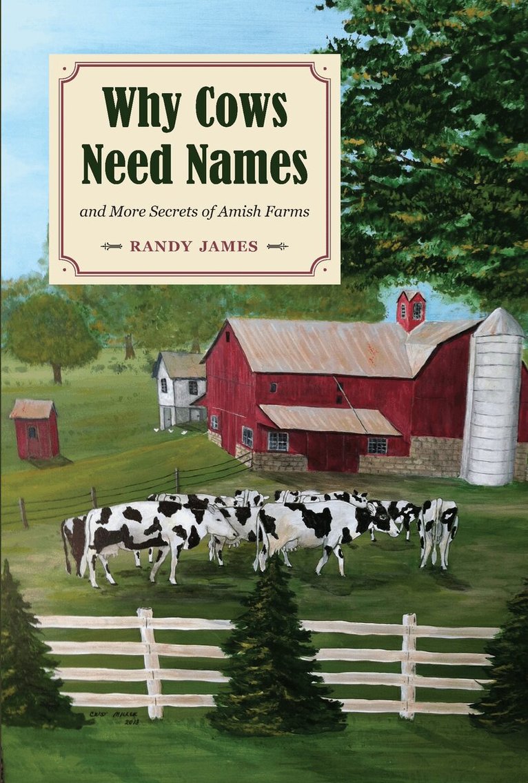 Randy James - Why Cows Need Names and More Secrets of Amish Farms, Häftad. Tillgänglighet: Lägg i varukorg