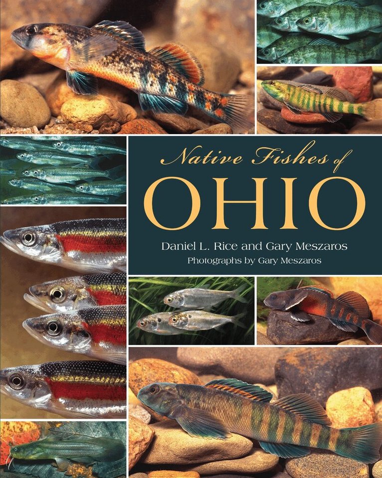 Daniel L. Rice - Native Fishes of Ohio, Häftad. Tillgänglighet: Lägg i varukorg