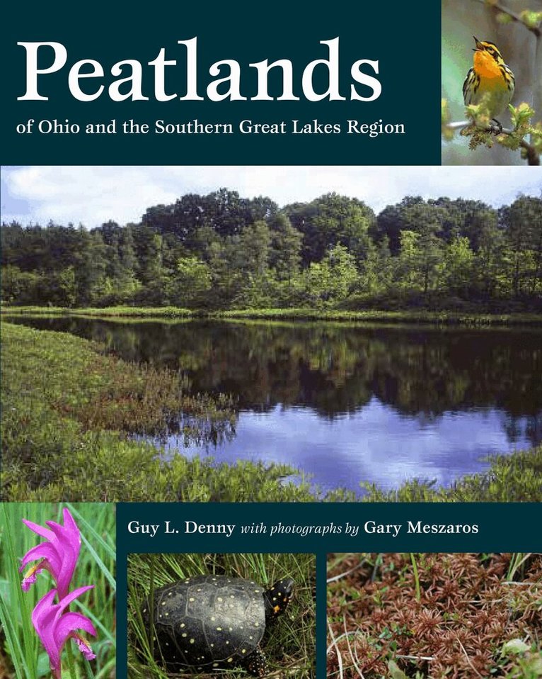Guy L. Denny - Peatlands of Ohio and the Southern Great Lakes Region, Häftad. Tillgänglighet: Lägg i varukorg