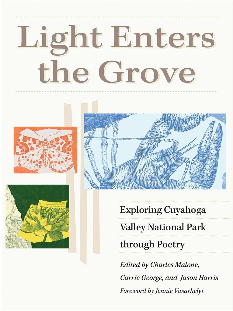 Charles Malone, Carrie George, Jason Harris - Light Enters the Grove, Häftad