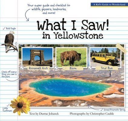 Durrae Johanek - What I Saw in Yellowstone, Häftad