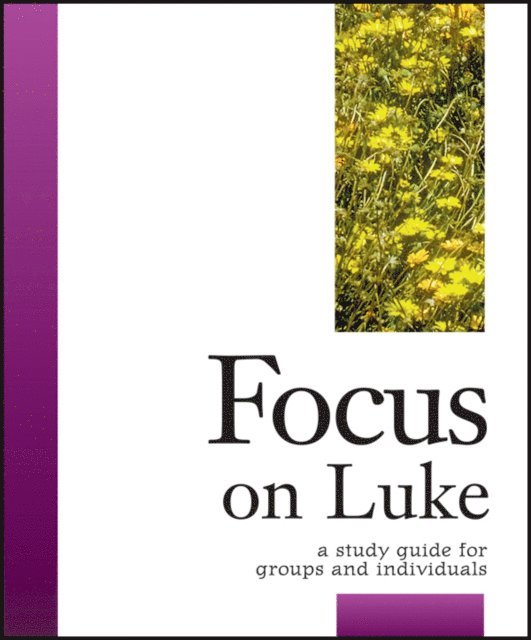 Carol Cheney Donahoe - Focus on Luke, E-bok