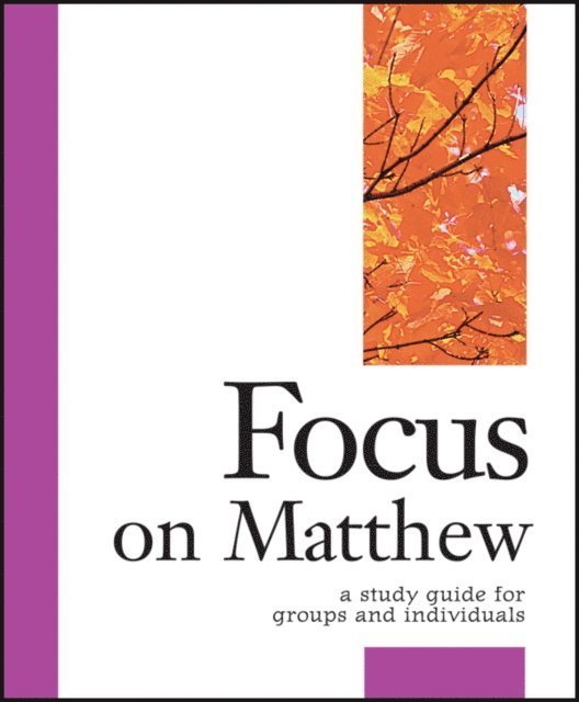 Carol Cheney Donahoe - Focus on Matthew, E-bok