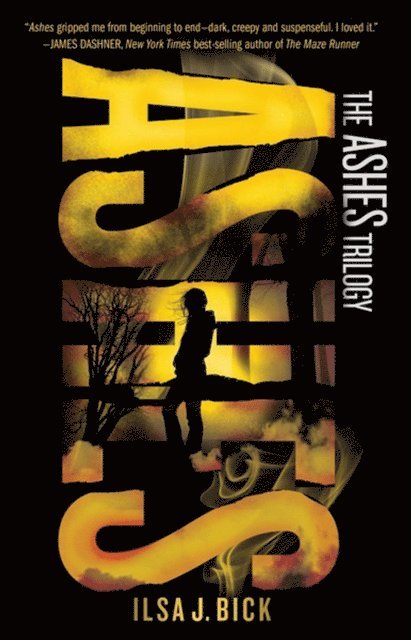 Ilsa J. Bick - Ashes, E-bok