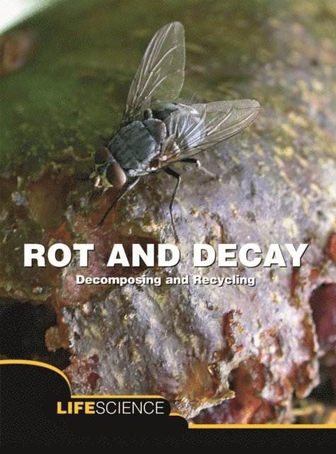 Sarah Levete - Rot and Decay, E-bok