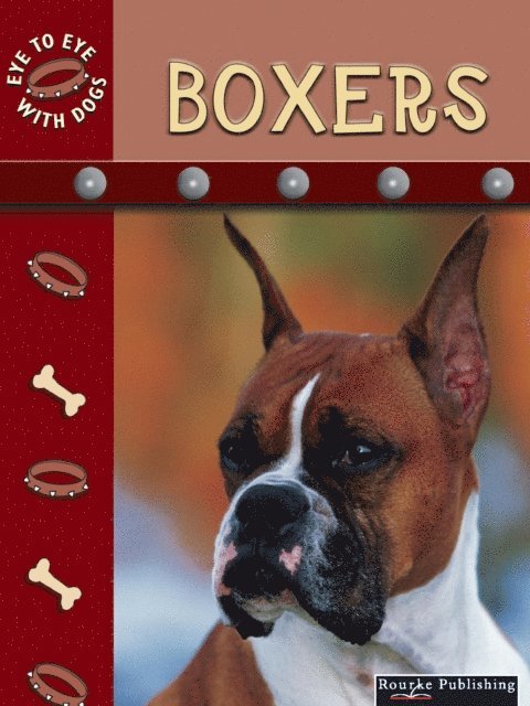 Lynn Stone - Boxers, E-bok