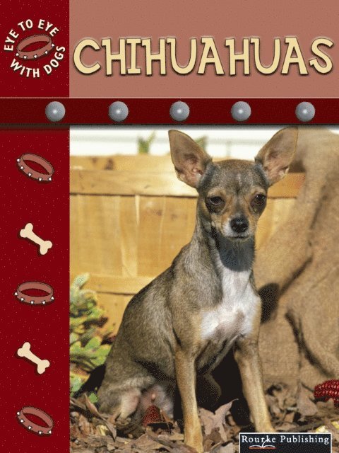 Lynn Stone - Chihuahuas, E-bok