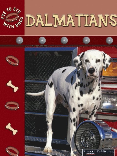 Lynn Stone - Dalmatians, E-bok