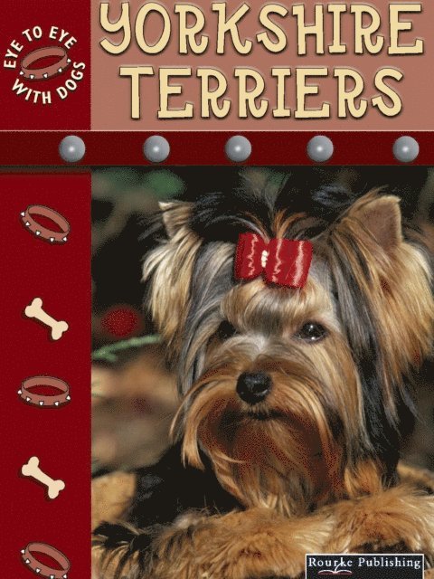 Lynn Stone - Yorkshire Terriers, E-bok