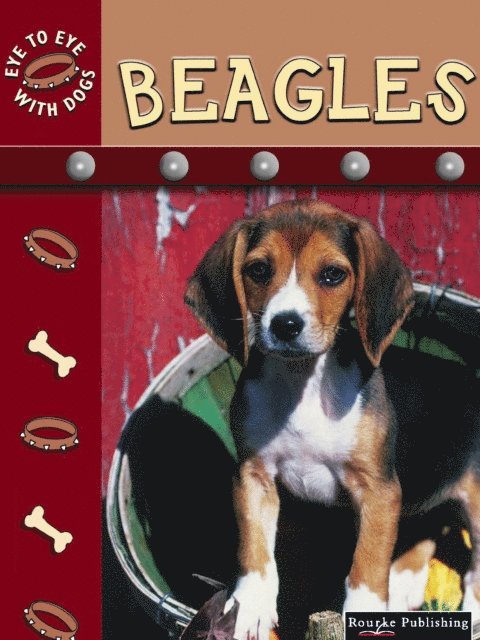 Lynn Stone - Beagles, E-bok
