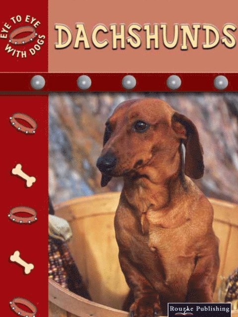 Lynn Stone - Dachshunds, E-bok
