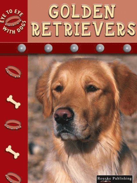 Lynn Stone - Golden Retrievers, E-bok