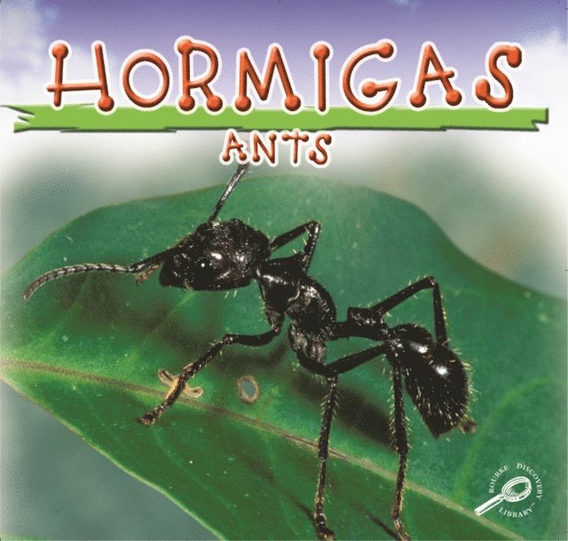 Jason Cooper - Hormigas, E-bok