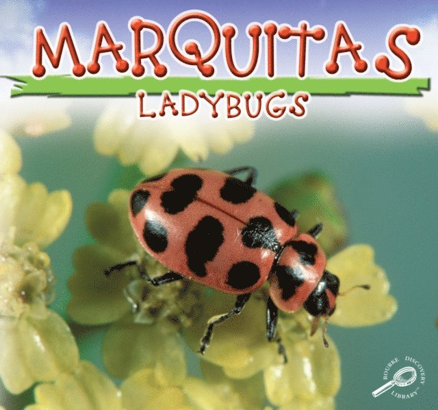 Jason Cooper - Mariquitas, E-bok