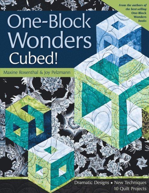 Joy Pelzmann, Maxine Rosenthal - One-Block Wonders Cubed!, E-bok