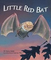 Carole Gerber - Little Red Bat, Inbunden