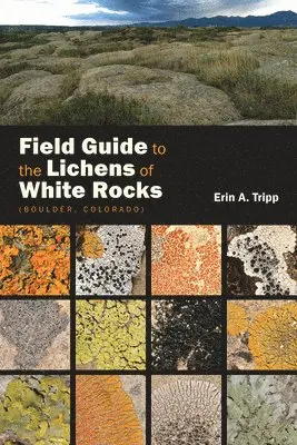 Erin Tripp - Field Guide to the Lichens of White Rocks, Häftad. Tillgänglighet: Tillfälligt slut