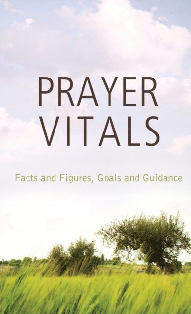 Tracy M. Sumner - Prayer Vitals, E-bok