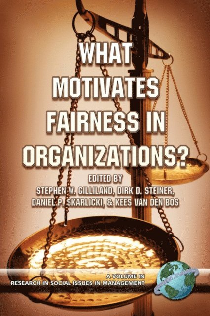 Kees van den Bos, Daniel P. Skarlicki, Dirk D. Steiner, Stephen W. Gilliland - What Motivates Fairness in Organizations, E-bok
