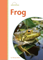Wendy Perkins - Frog, Inbunden