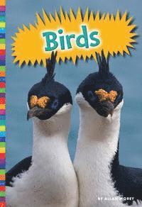 Allan Morey - Birds, Inbunden