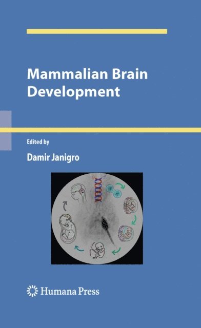 Damir Janigro - Mammalian Brain Development, E-bok
