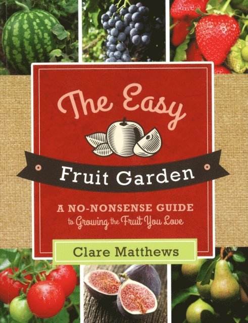 Clare Matthews - Easy Fruit Garden, E-bok