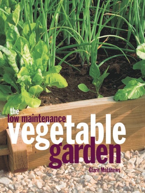 Clare Matthews - Low Maintenance Vegetable Garden, E-bok